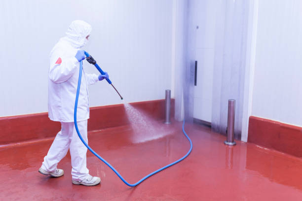 Best Graffiti Removal  in Orida City, FL